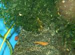     
: DSCF8752.jpg
: 12
:	142.9 
ID:	11800928