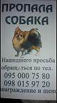    
: image.jpg
: 3
:	35.7 
ID:	11803738