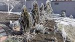     
: IMG_20170120_094926.jpg
: 5
:	299.7 
ID:	11804549
