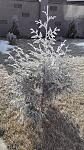     
: IMG_20170120_094939.jpg
: 4
:	174.4 
ID:	11804553