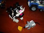     
: DSC01860.jpg
: 21
:	97.5 
ID:	11805902