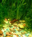     
: 2017-01-21 09.39.49-1.jpg
: 6
:	43.4 
ID:	11806106