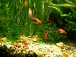     
: 2017-01-21 09.42.49.jpg
: 9
:	137.9 
ID:	11806107