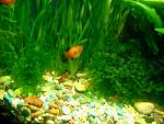     
: 2017-01-21 09.37.33[0].jpg
: 9
:	139.1 
ID:	11806108