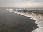     
: P_20170121_134906.jpg
: 34
:	56.4 
ID:	11806472