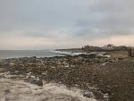     
: P_20170121_134935.jpg
: 24
:	77.6 
ID:	11806475