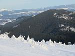     
: IMG_0930.jpg
: 39
:	122.9 
ID:	11807674