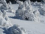    
: IMG_0775.jpg
: 38
:	146.4 
ID:	11807675