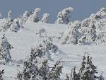     
: IMG_0893.jpg
: 39
:	146.7 
ID:	11807676