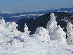     
: IMG_0778.jpg
: 35
:	105.9 
ID:	11807677