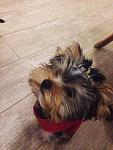     
: i7ZP3Qigks0.jpg
: 42
:	98.4 
ID:	11810720