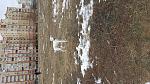     
: 20170126_140322.jpg
: 14
:	249.2 
ID:	11816223
