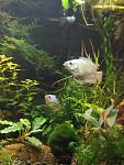     
: IMG_20170126_190312.jpg
: 76
:	106.3 
ID:	11816395