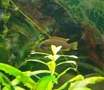     
: 20170128_123118.jpg
: 71
:	29.0 
ID:	11819698