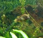     
: 20170128_123056.jpg
: 85
:	30.0 
ID:	11819699