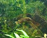     
: 20170128_123015.jpg
: 76
:	32.4 
ID:	11819700