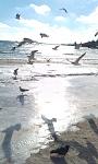     
: IMAG1040.jpg
: 24
:	81.6 
ID:	11822927
