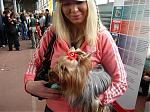     
: P1010399.jpg
: 64
:	117.7 
ID:	118248