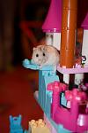     
: DSC_7153.jpg
: 15
:	47.3 
ID:	11825201