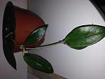     
: IMG_7770.jpg
: 18
:	73.1 
ID:	11830083