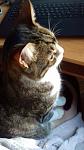     
: xt8ZjXCM7e4.jpg
: 27
:	107.6 
ID:	11831197