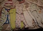     
: P70201-164537.jpg
: 49
:	106.7 
ID:	11832243