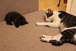     
: IMG_9516.jpg
: 27
:	136.5 
ID:	11832331