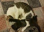     
: DSC_0094.jpg
: 26
:	174.9 
ID:	11832441