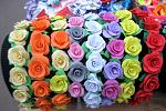     
: 170-IMG_5746.jpg
: 8
:	139.4 
ID:	11835733