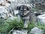     
: 83534a6e33f09c101581f024cd45bcaa136659_standart.jpg
: 25
:	58.0 
ID:	118418