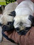     
: Фото0030.jpg
: 14
:	70.9 
ID:	11843191