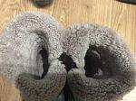     
: IMG_2206.jpg
: 9
:	149.4 
ID:	11843424