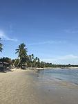     
: IMG_0157.JPG
: 21
:	181.8 
ID:	11844947