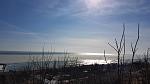     
: 20170209_123919[1].jpg
: 14
:	94.8 
ID:	11847019