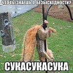     
: 1484614_1593928180835537_4514180675923635421_n.jpg
: 21
:	48.9 
ID:	11849269