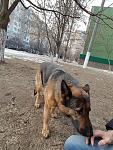     
: g4mzVnMdBuY.jpg
: 16
:	165.1 
ID:	11850895