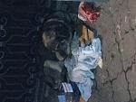     
: IMG_0223.jpg
: 17
:	100.4 
ID:	11855038