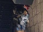     
: IMG_0221.jpg
: 12
:	95.8 
ID:	11855600