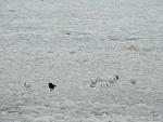     
: DSCN4336.jpg
: 24
:	112.3 
ID:	11860125