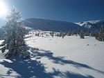     
: DSC07178.jpg
: 16
:	132.2 
ID:	11862208