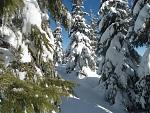     
: DSC07149.jpg
: 15
:	205.9 
ID:	11862218