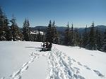     
: DSC07141.jpg
: 14
:	134.7 
ID:	11862219