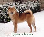     
: IMG_4175.JPG
: 28
:	139.1 
ID:	11862365