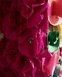     
: IMG_20170216_214421[1].jpg
: 26
:	108.0 
ID:	11862697
