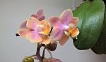     
: WP_20170213_09_57_21_Pro.jpg
: 12
:	91.0 
ID:	11863158