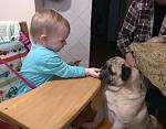     
: IMG_20170207_090126.jpg
: 18
:	110.9 
ID:	11864152