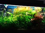     
: P70213-194553.jpg
: 17
:	157.1 
ID:	11873002