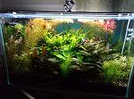     
: P70213-194545.jpg
: 12
:	197.8 
ID:	11873010