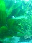     
: P70221-194455.jpg
: 5
:	53.2 
ID:	11873323