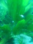     
: P70221-194505.jpg
: 5
:	57.4 
ID:	11873325
